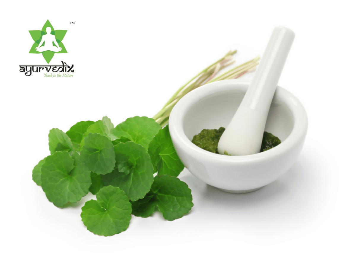 Ayurvedix Organic Gotu Kola Leaf Extract Powder - Swadesiicart