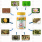 Gunatit Herbal Fema Healthcare | Swadesiicart