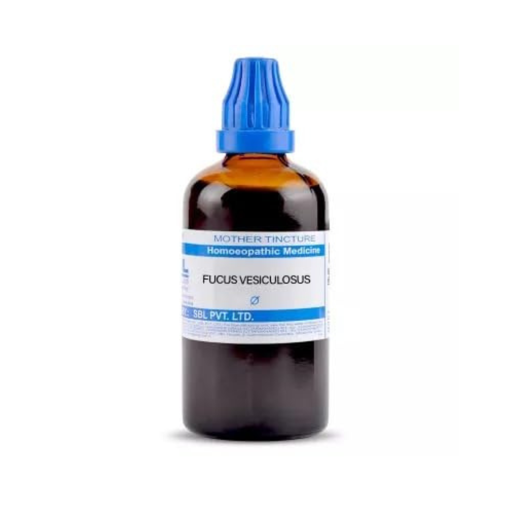 SBL Homeopathy Fucus Vesiculosus Mother Tincture Q - Swadesiicart