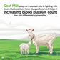 Aadvik Goat Milk Powder (200 Gm)