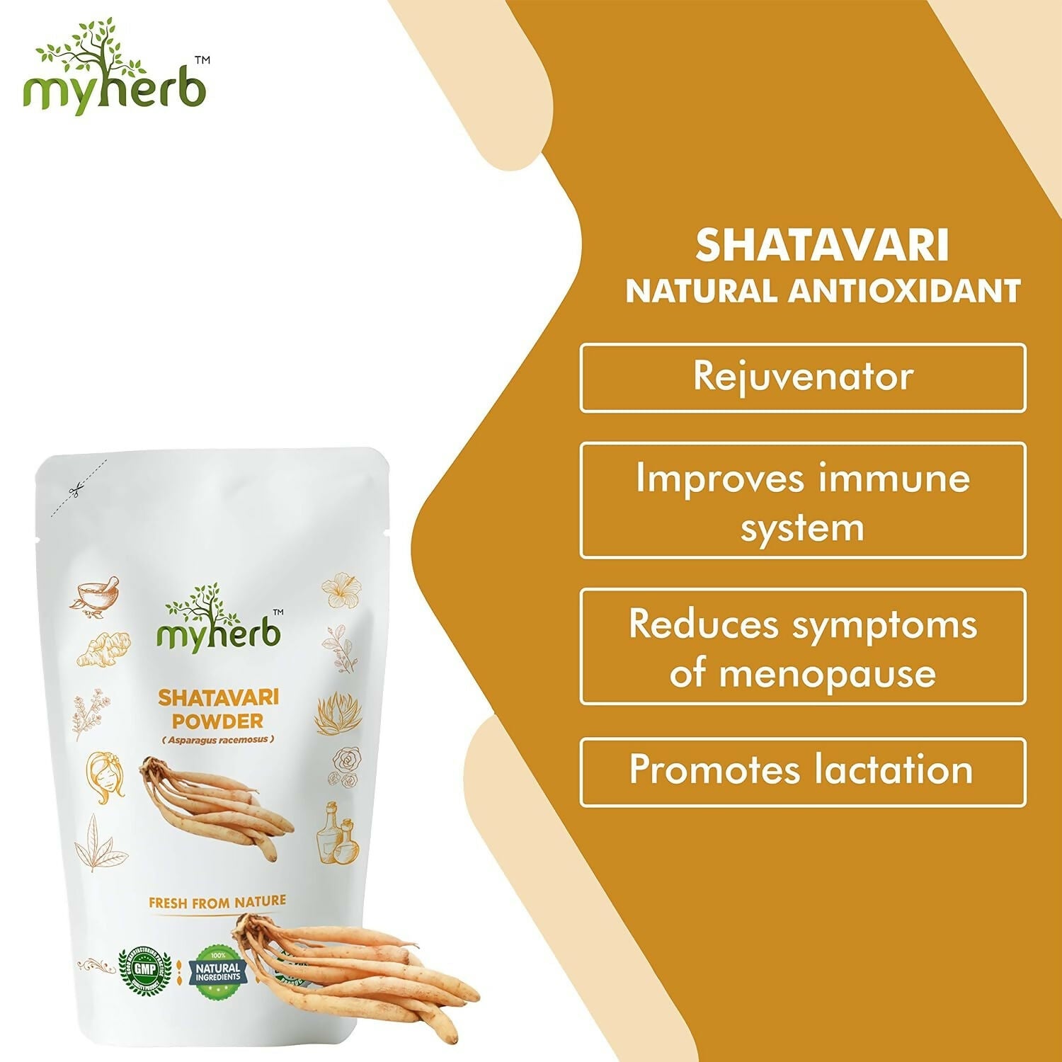 Myherb Natural Organic Shatavari Powder - Swadesiicart
