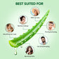 Botanic Hearth Aloe Vera Aloe Anytime Gel