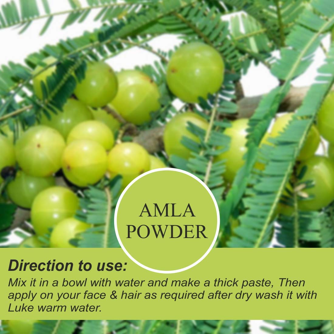 Nuerma Science Amla Powder for Healthy Skin & Hair | Swadesiicart