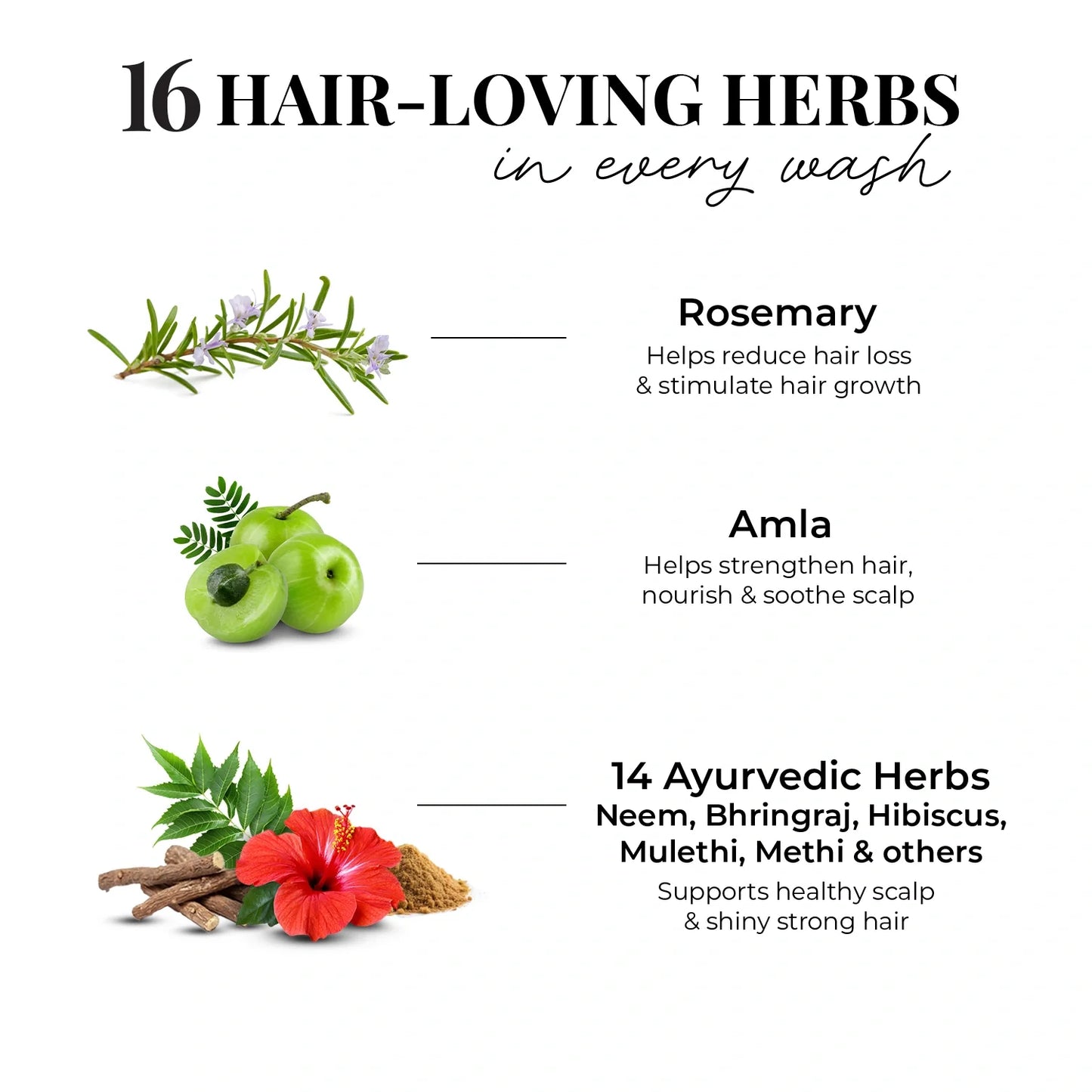 Anti Hairfall Conditioner | Rosemary, Amla & 14 Herbs