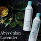 Aveda Travel Size Shampure Nurturing Shampoo | Swadesiicart