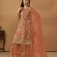 Anaita Brown Embroidered Net Salwar Suit