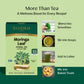 Moringa Leaf Herbal Tea, 100 Count
