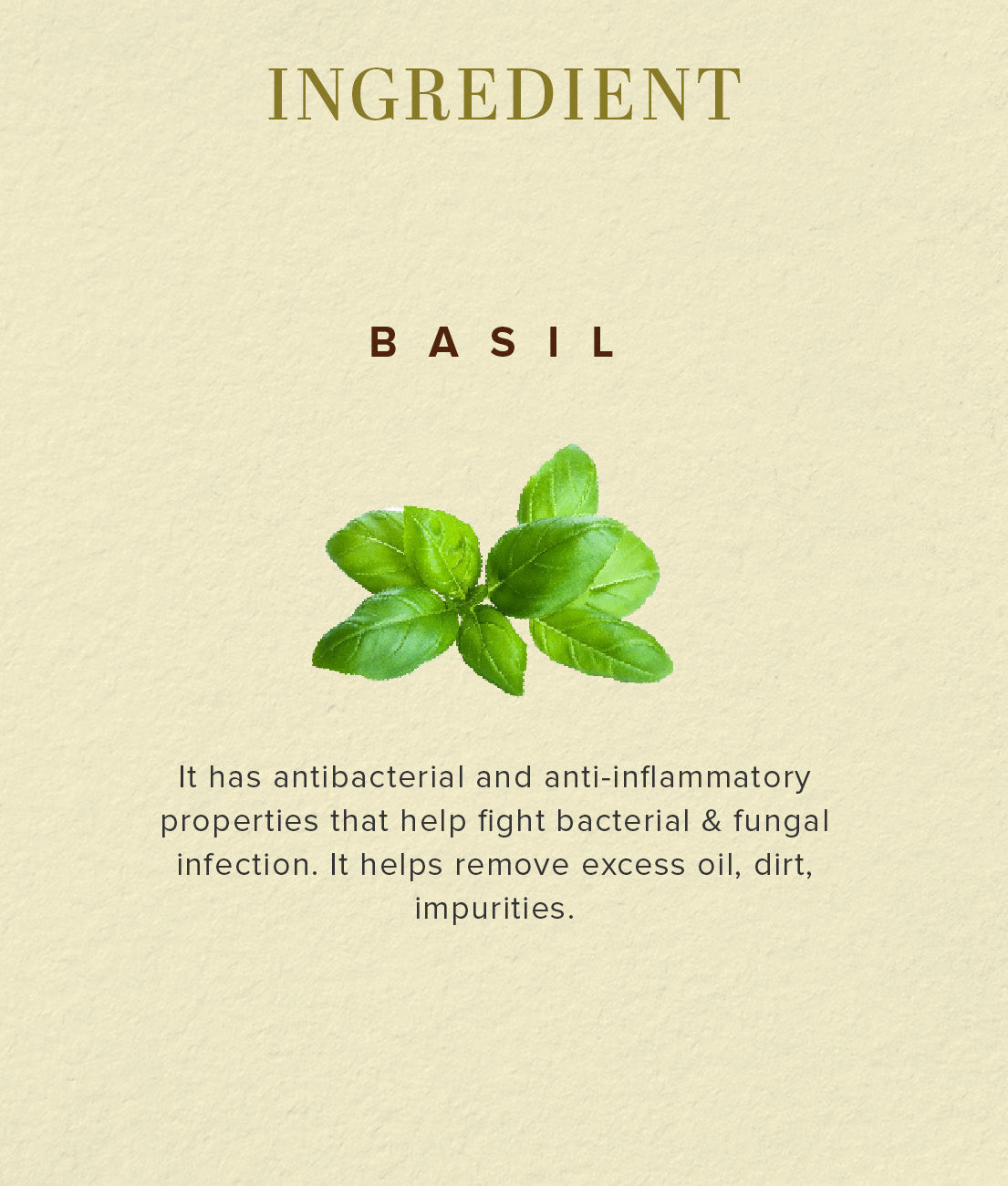 Khadi Natural Herbal Basil Scrub Soap 125gm