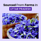 Alps Goodness 100% Natural Blue Pea & Rose Petal Beauty Mask For Skin - Swadesiicart