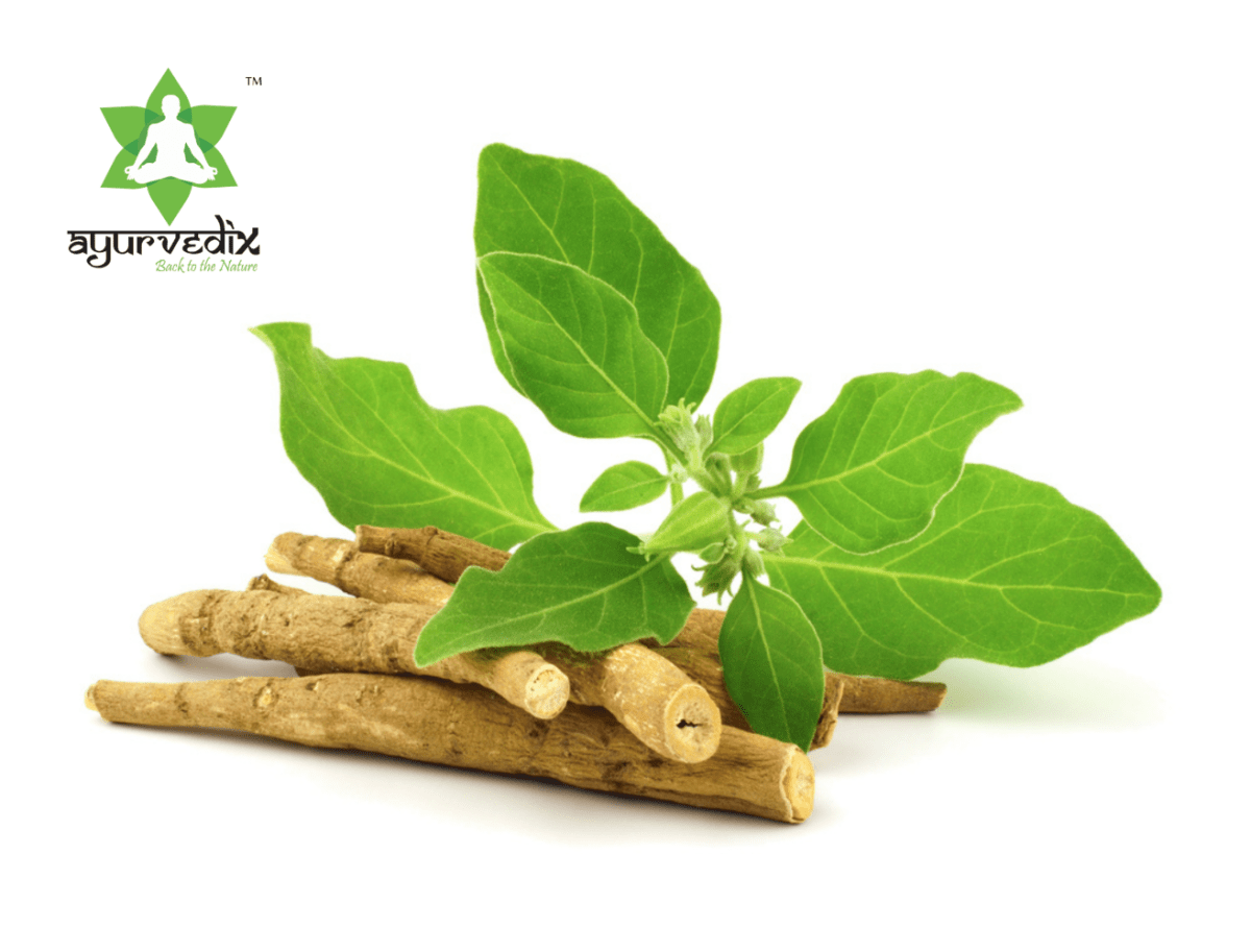 Ayurvedix Organic Ashwagandha Powder - Swadesiicart