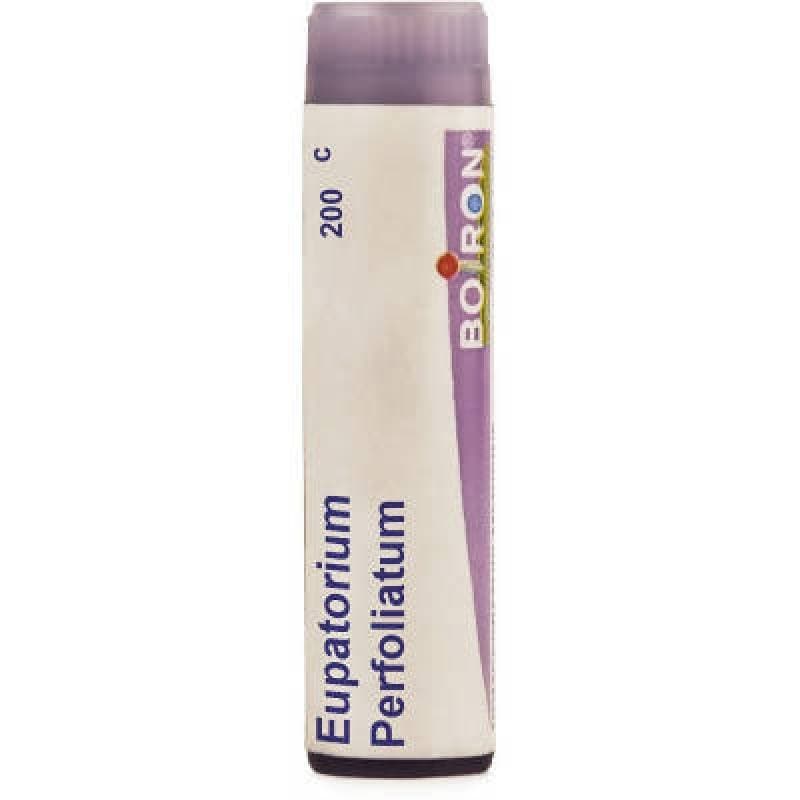 Boiron Homeopathy Eupatorium Perfoliatum | Swadesiicart