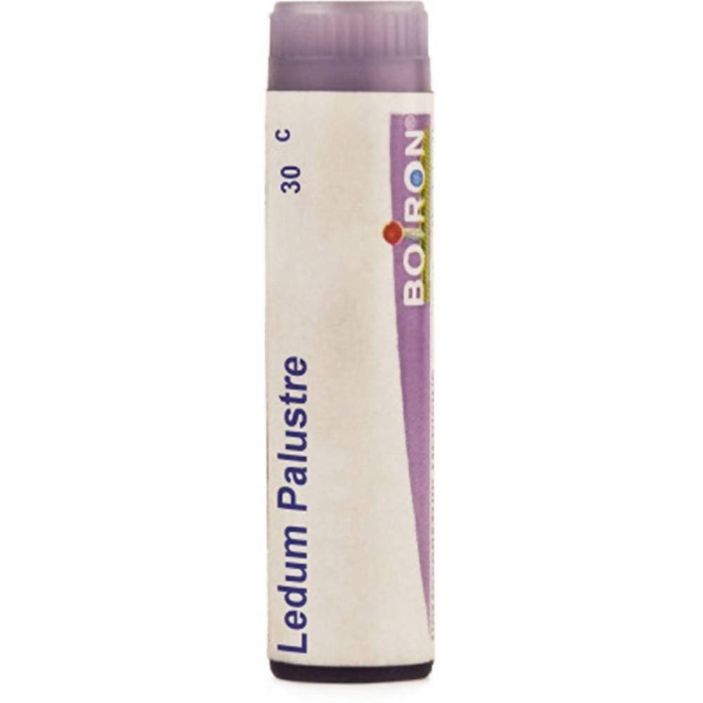 Boiron Homeopathy Ledium Palustre | Swadesiicart