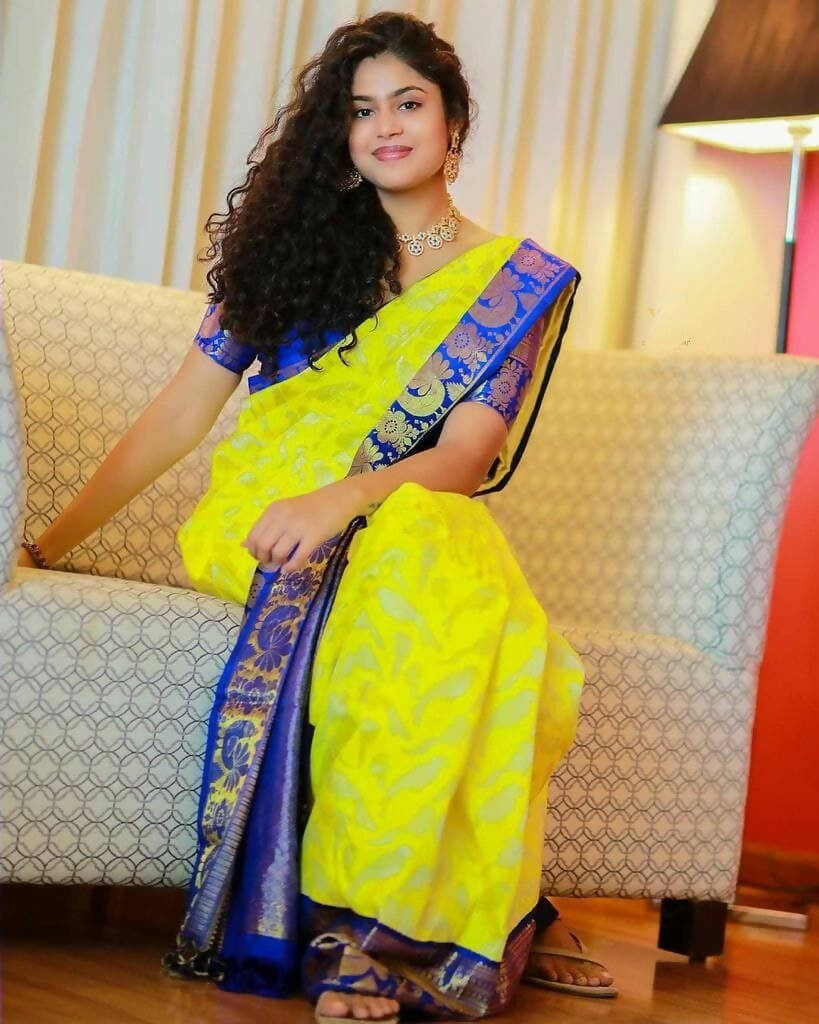 DEIANA'S Beautiful Designer Golden zari Soft Lichi Silk Saree - Yellow - Swadesiicart