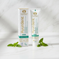 Ayurdent Toothpaste | Classic | Mild | 75ml