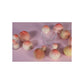 Tonymoly Mini Peach Lip Balm - Korean Skincare | Swadesiicart