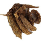 Dark Forest Karela Powder | Swadesiicart