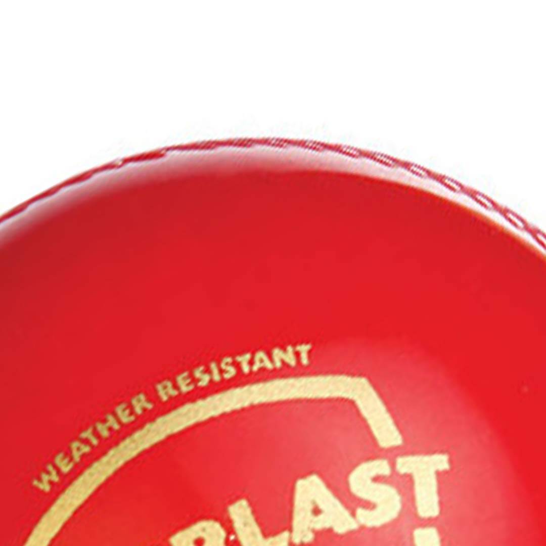 SG Everlast Leather Cricket Ball - Red - Swadesiicart