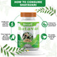 Divya Shree Shatavari Capsules | Swadesiicart