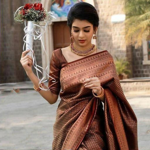 DEIANA'S Beautiful Designer Golden zari Soft Lichi Silk Saree - Brown - Swadesiicart