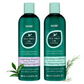 HASK Tea Tree Oil & Rosemary Invigorating Shampoo And Conditioner | Swadesiicart