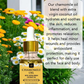 Al Masnoon Chamomile Oil (Babuna Oil / Roghan Babuna)