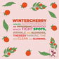 Ningen Winter Cherry Cold Cream - Swadesiicart