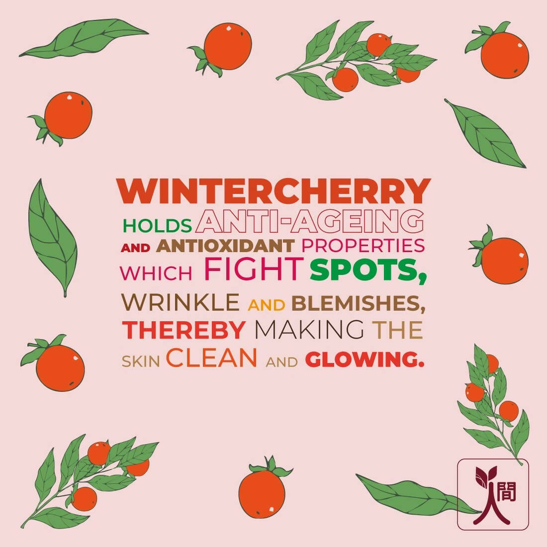 Ningen Winter Cherry Cold Cream - Swadesiicart
