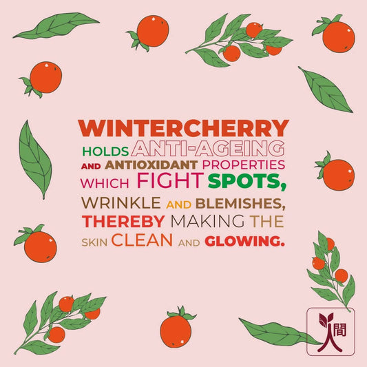 Ningen Winter Cherry Cold Cream - Swadesiicart