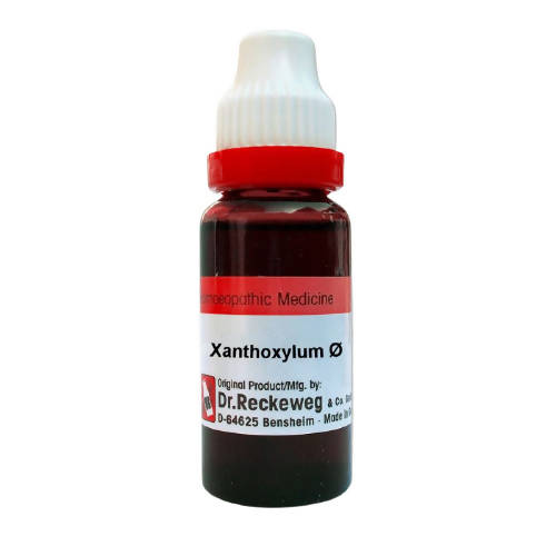 Dr. Reckeweg Xanthoxylum Fraxineum Mother Tincture | Swadesiicart