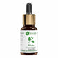Naturalis Essence of Nature Camphor Essential Oil 15 ml
