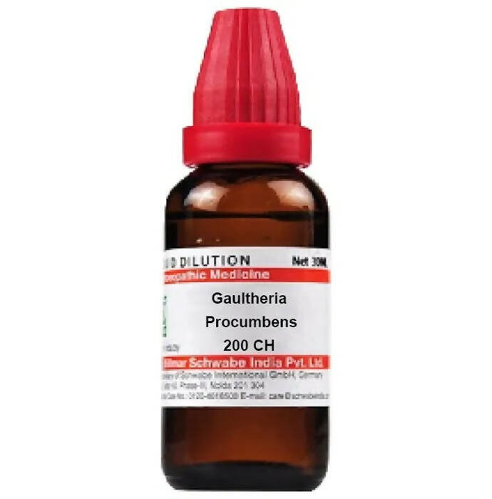 Dr. Willmar Schwabe India Gaultheria Procumbens Dilution - Swadesiicart