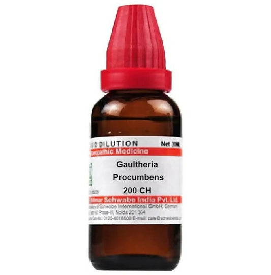 Dr. Willmar Schwabe India Gaultheria Procumbens Dilution - Swadesiicart