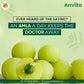 Amrita Amla Churn - Swadesiicart
