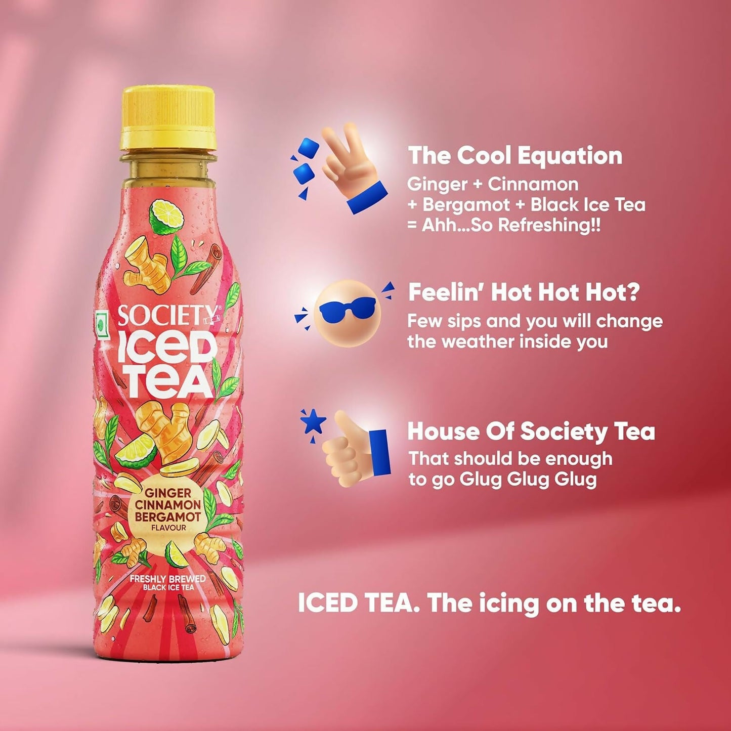 Society Ice Tea Bottle Assorted | Swadesiicart