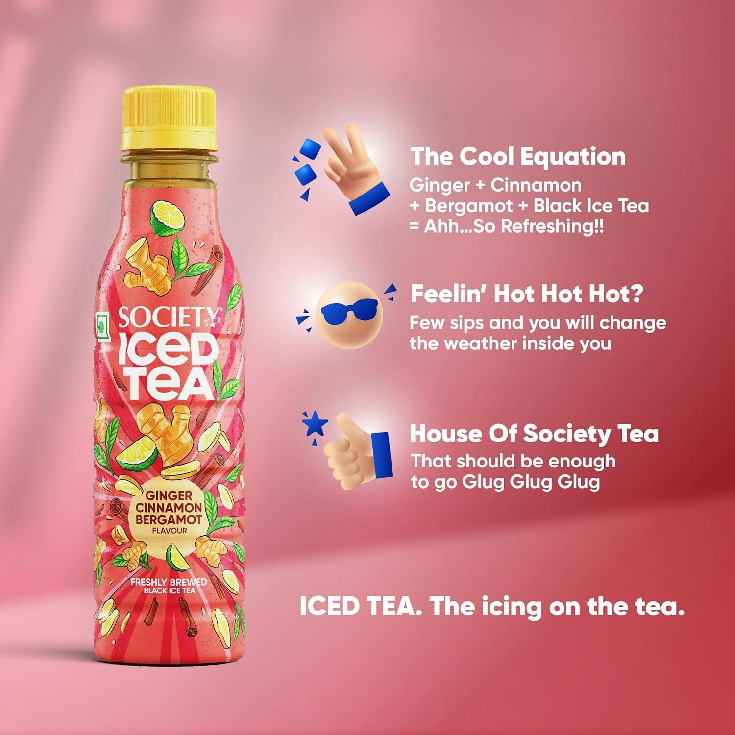 Society Ice Tea Bottle Assorted | Swadesiicart
