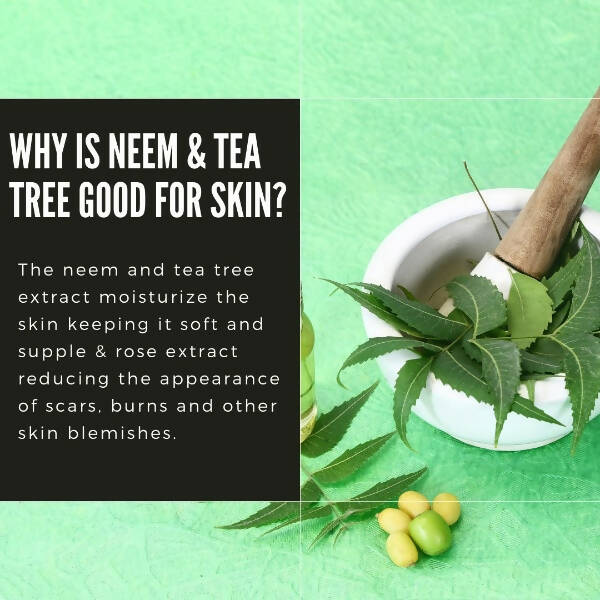 Organicos Neem & Tea Tree Face Cleanser - Swadesiicart