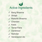 Alarsin Ayurvedic Bangshill Tablet