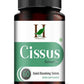 H&C Herbal Cissus Extract Quick Dissolving Tablets - Just Jaivik