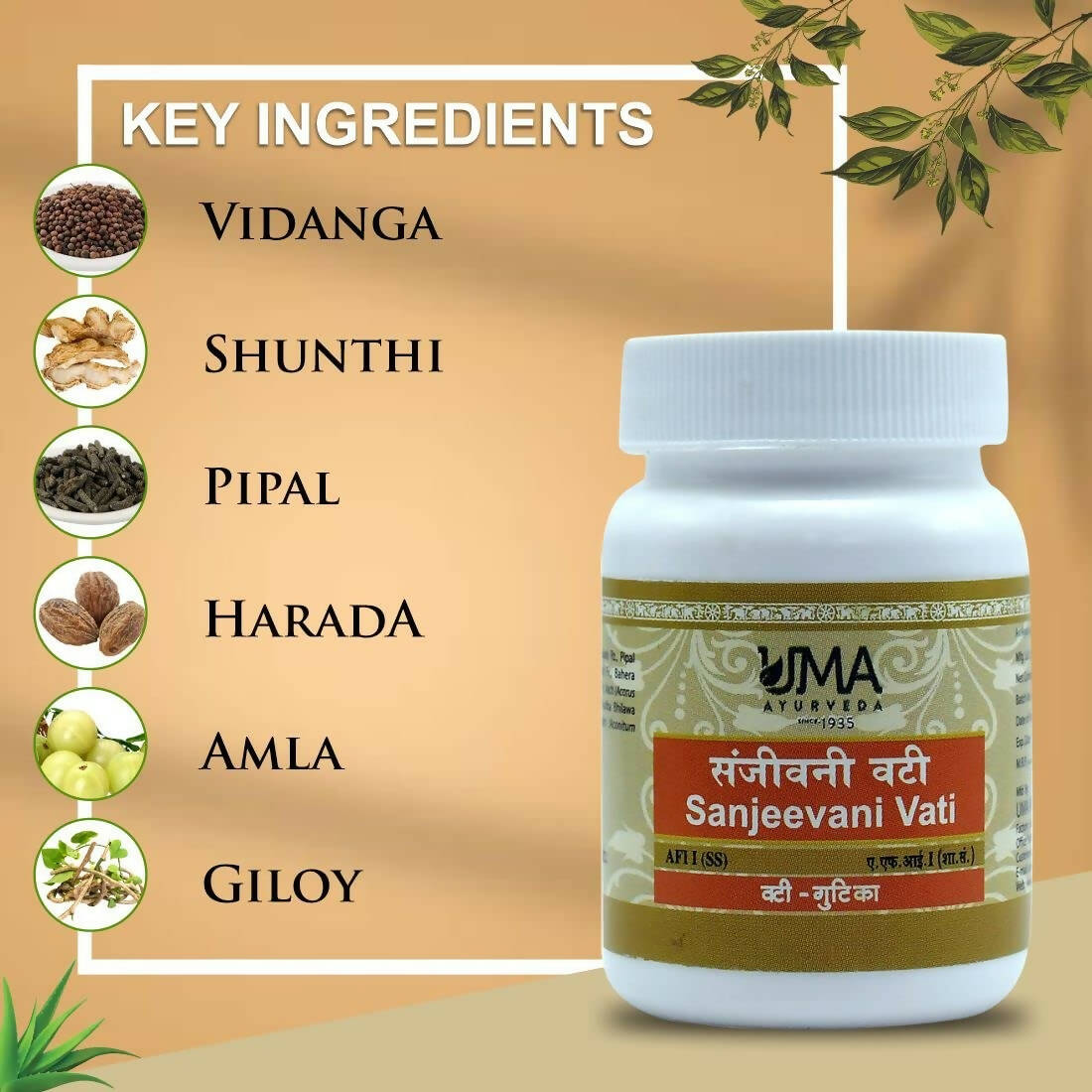 Uma Ayurveda Sanjeevani Vati - Swadesiicart