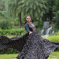 Lorenvalley Black Cotton Printed With Kutchi Gamthi Work and Kodi Lace Gown | Swadesiicart