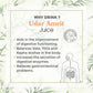 Four Seasons Udar Amrit Juice - Swadesiicart