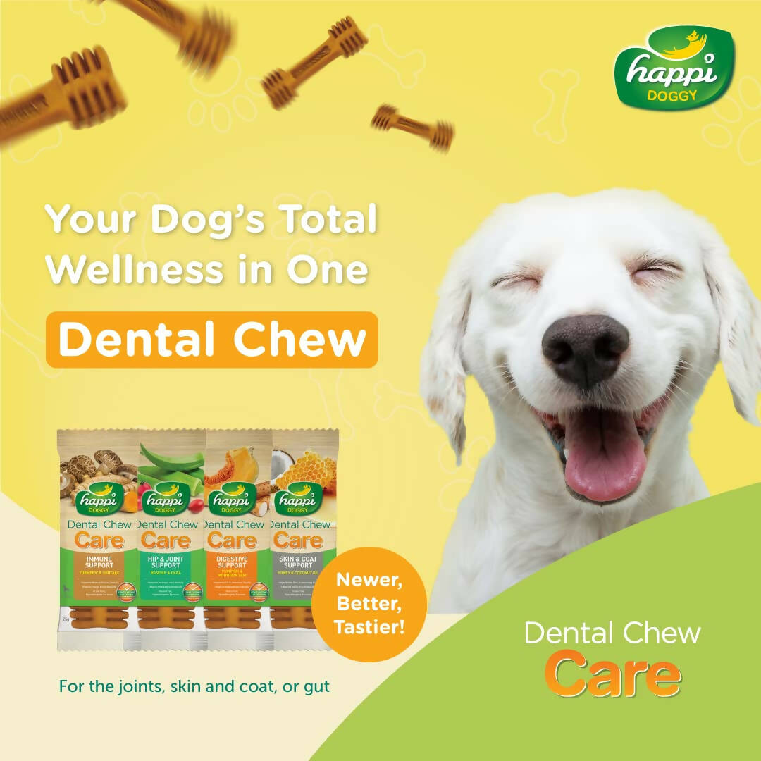 Happi Doggy Dental Chew Care Immune Support Turmeric & Shiitake - Swadesiicart