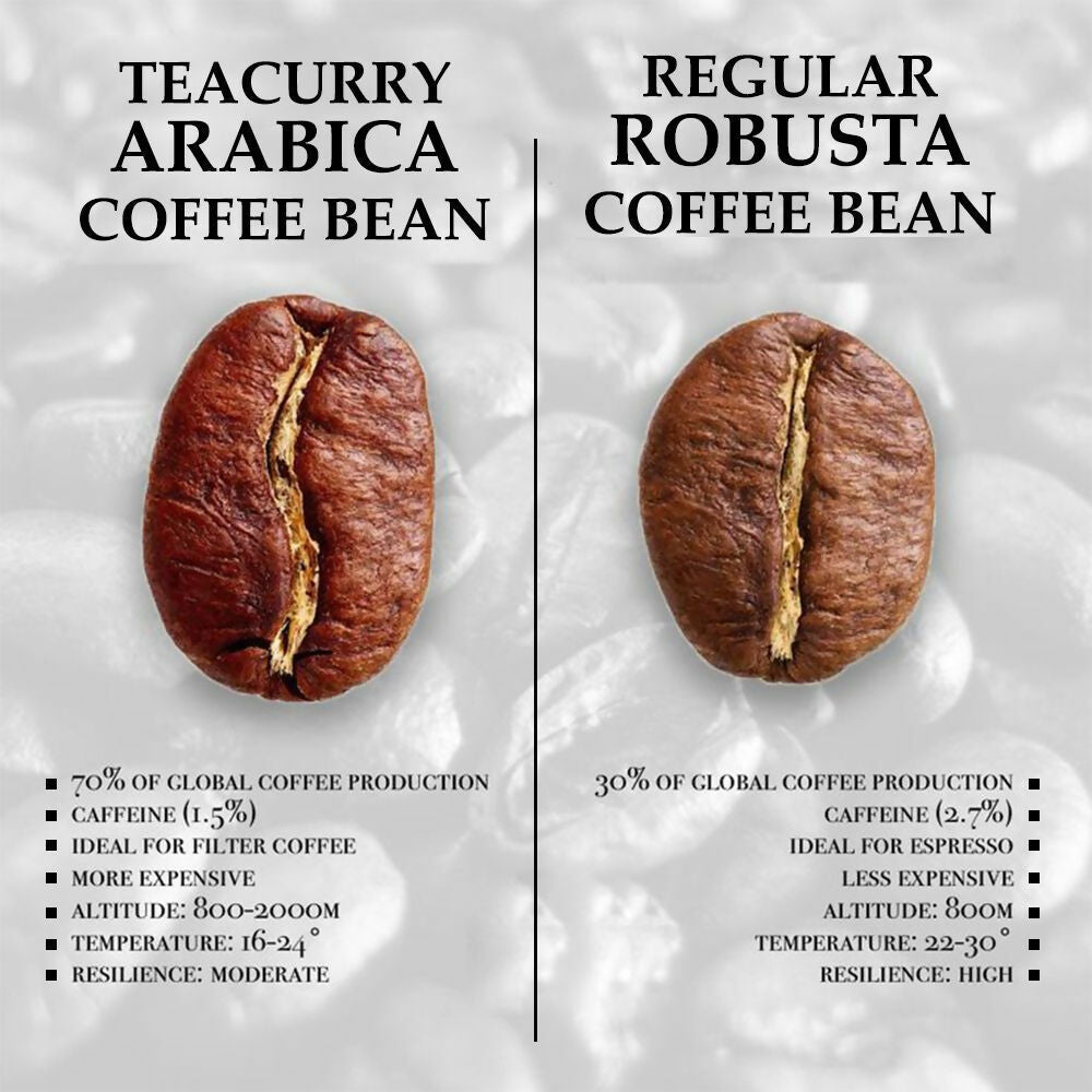 Teacurry Arabica Roasted Coffee Bean (Whole Bean, Medium Roasted) - Swadesiicart