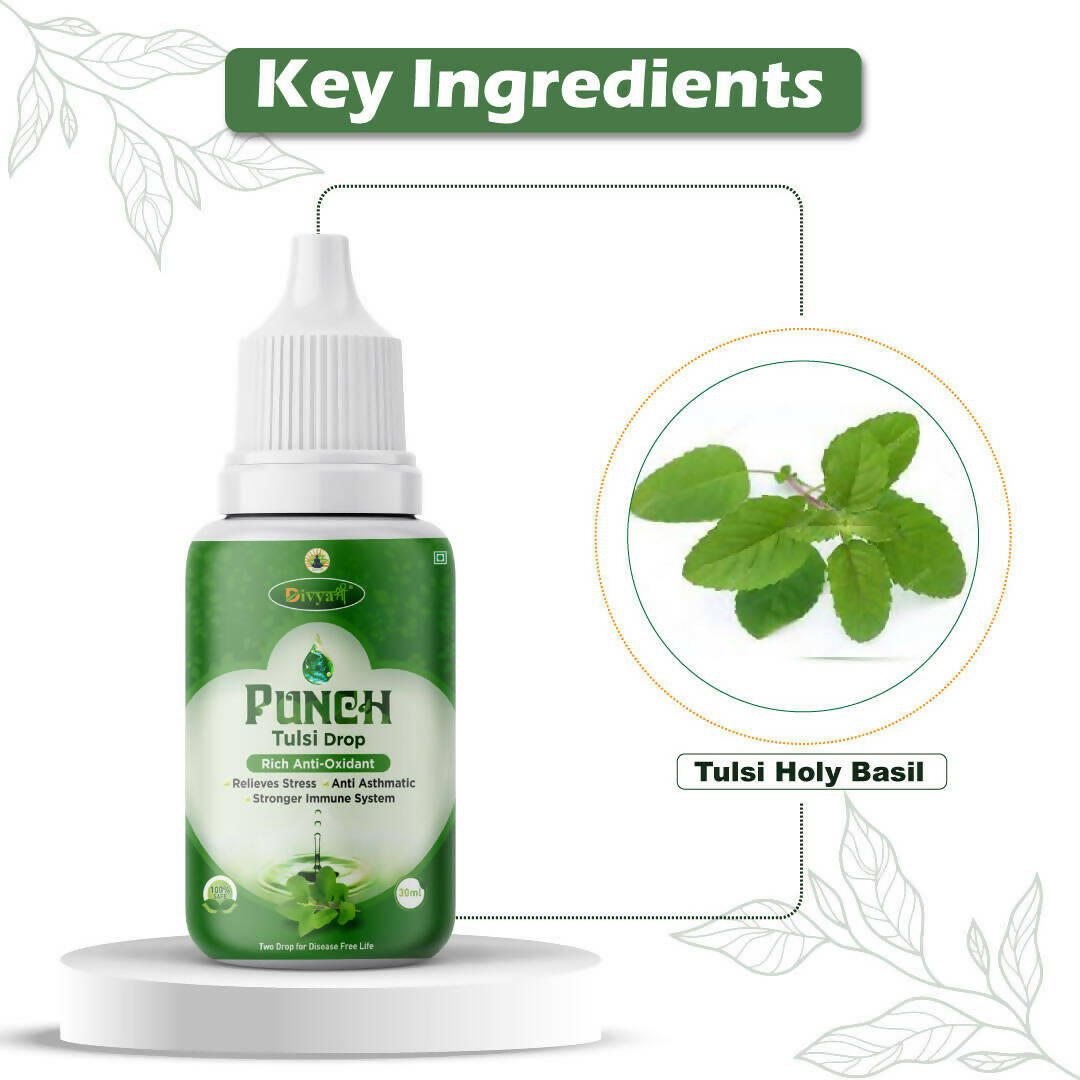 Divya Shree Punch Tulsi Drops | Swadesiicart