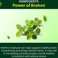 Cipzer Brahmi Capsules