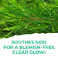 St. Ives Clear Glow Tea Tree Micellar Water - Swadesiicart