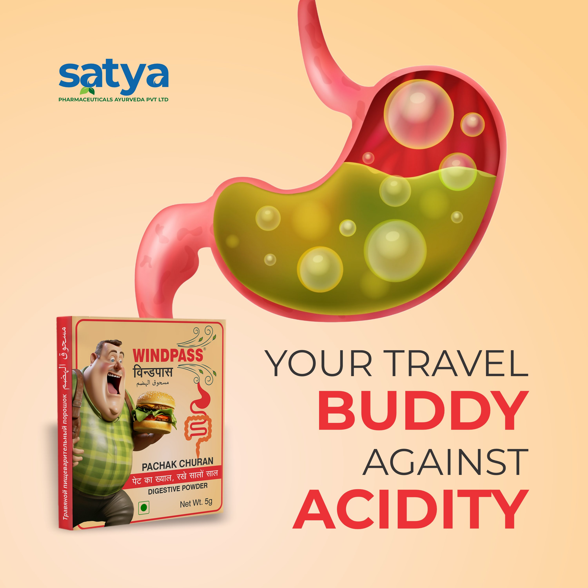 Satya Pharmaceuticals Ayurveda Windpass Pachak Churan Sachet | Swadesiicart