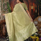 Shree Shyam Fashion Organza Mhendi Green Saree