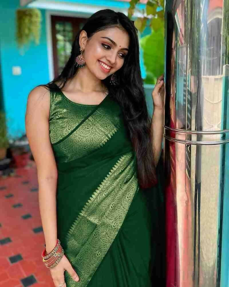 DEIANA'S Beautiful Designer Golden zari Soft Lichi Silk Saree - P Green - Swadesiicart