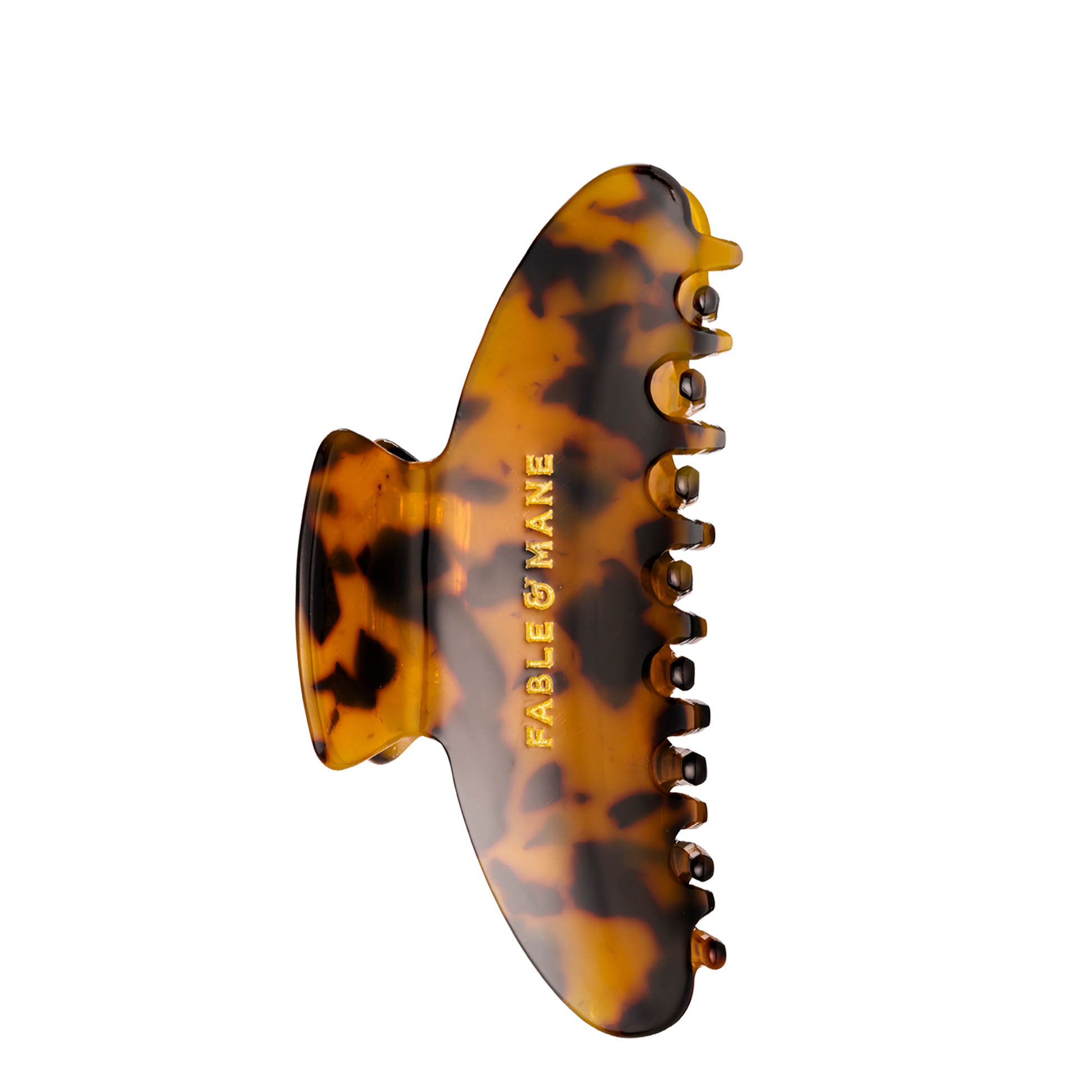 Tortoiseshell Claw Clip